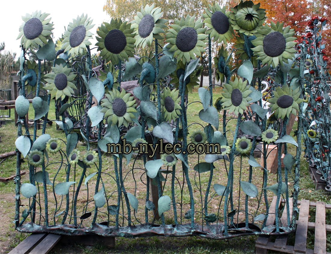Zaunfeld mit Sonnenblumen – 2