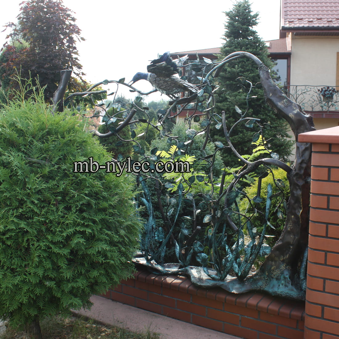 Zaunfeld mit Wildente – 2