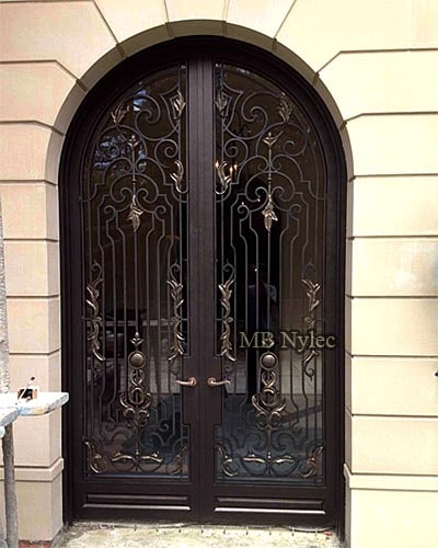 ażurowe drzwi kute ze szkłem dz10